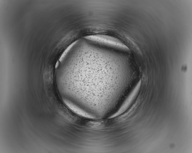 X0000100200170200806131238