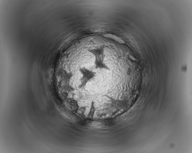 X0000100200171200806131238