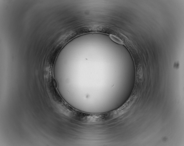 X0000100200172200806131238