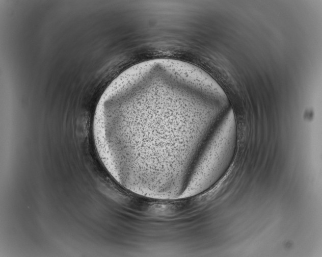 X0000100200174200806131238