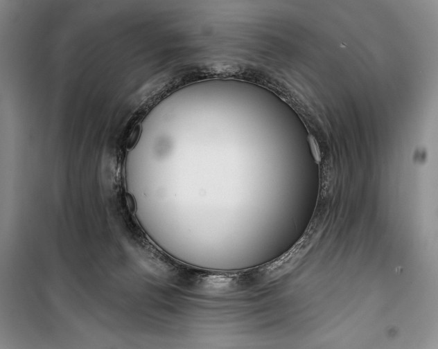 X0000100200176200806131238