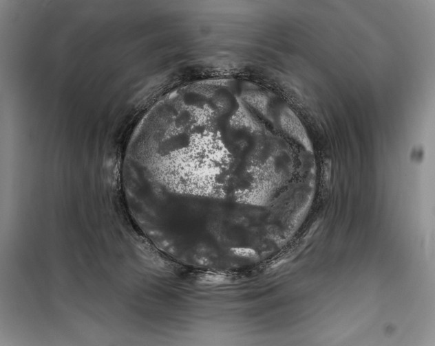 X0000100200177200806131238