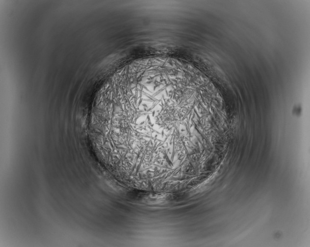 X0000100200178200806131238