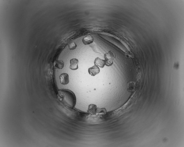 X0000100200179200806131238