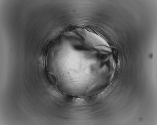 X0000100200180200806131238