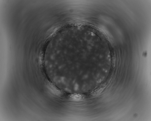 X0000100200181200806131238