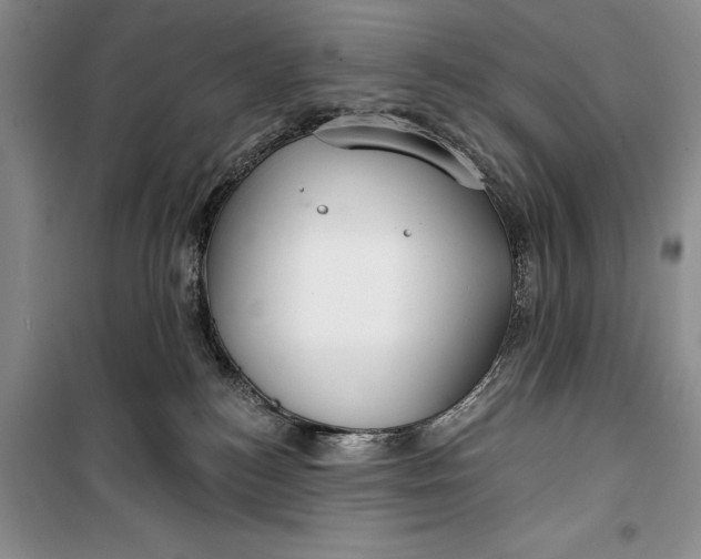 X0000100200184200806131238