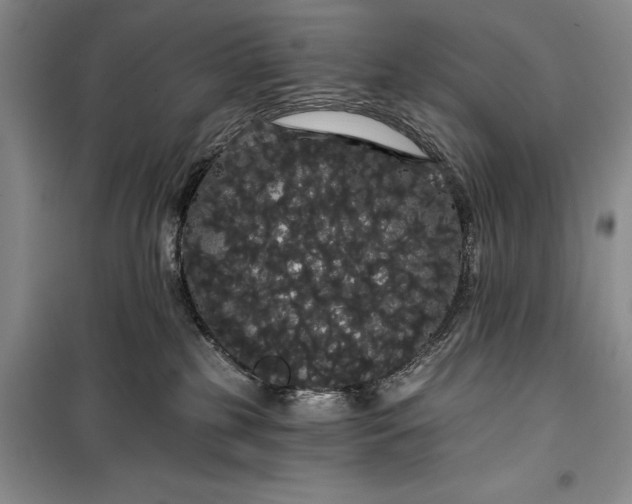 X0000100200185200806131238