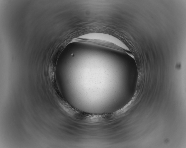 X0000100200186200806131238