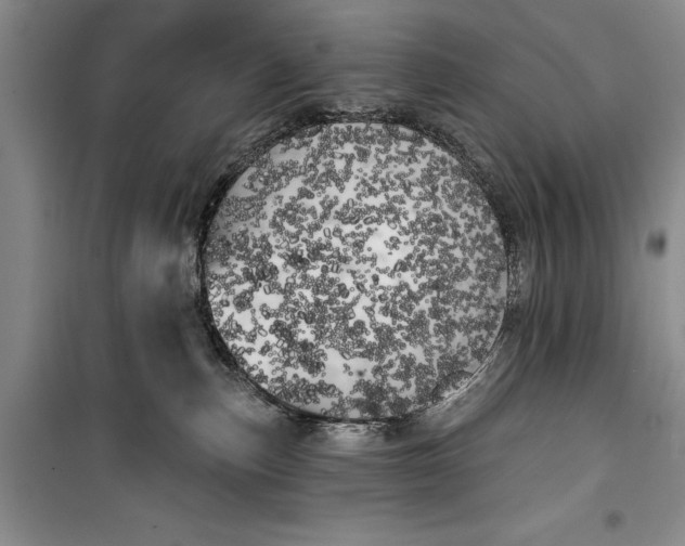 X0000100200187200806131238