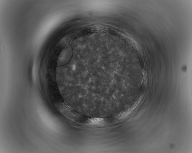 X0000100200189200806131238