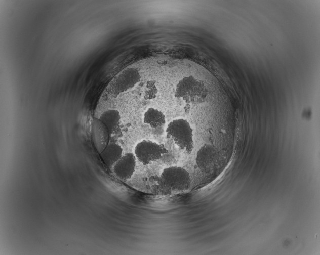 X0000100200191200806131238