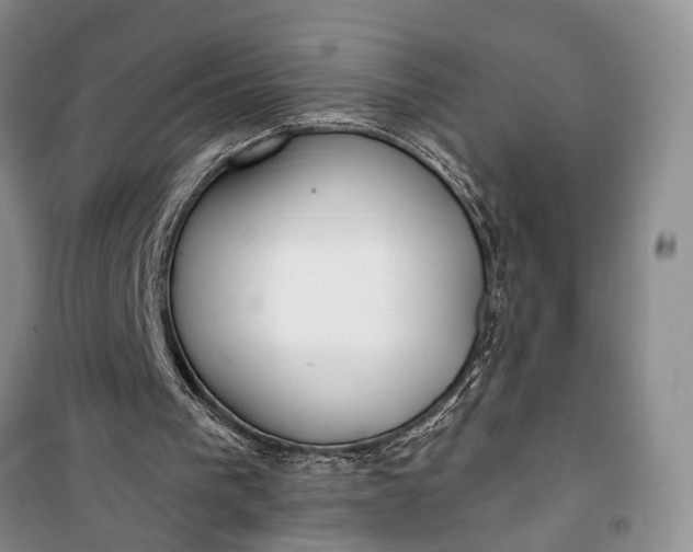 X0000100200193200806131237