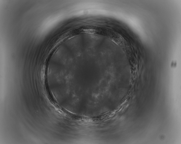 X0000100200194200806131237