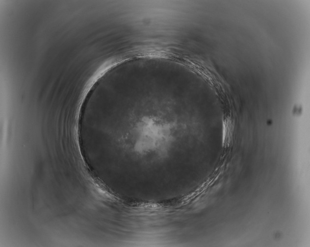 X0000100200195200806131237