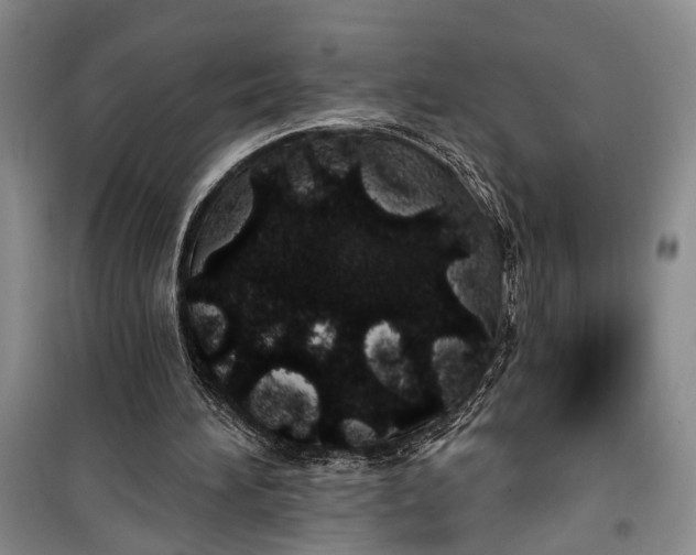 X0000100200196200806131237