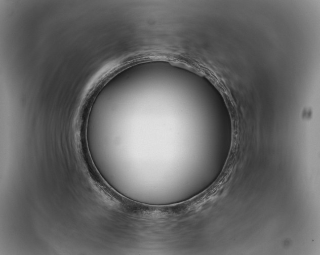 X0000100200197200806131237