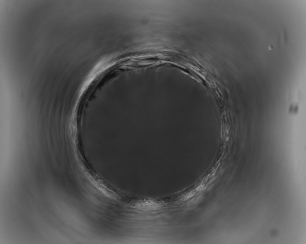 X0000100200198200806131237