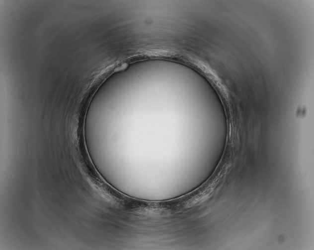 X0000100200201200806131237