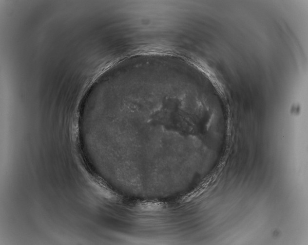 X0000100200202200806131237