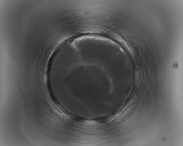 X0000100200203200806131237