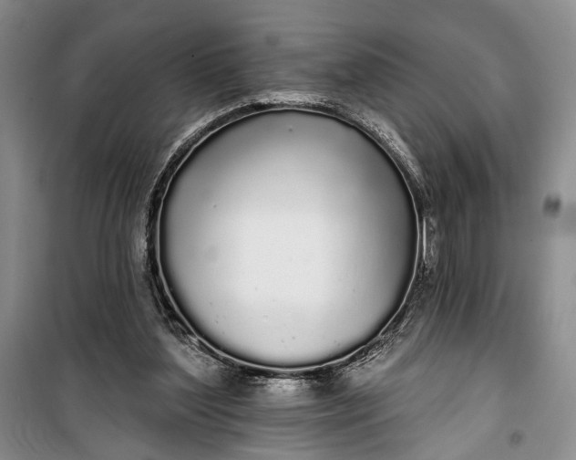 X0000100200204200806131237