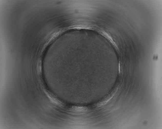 X0000100200205200806131237