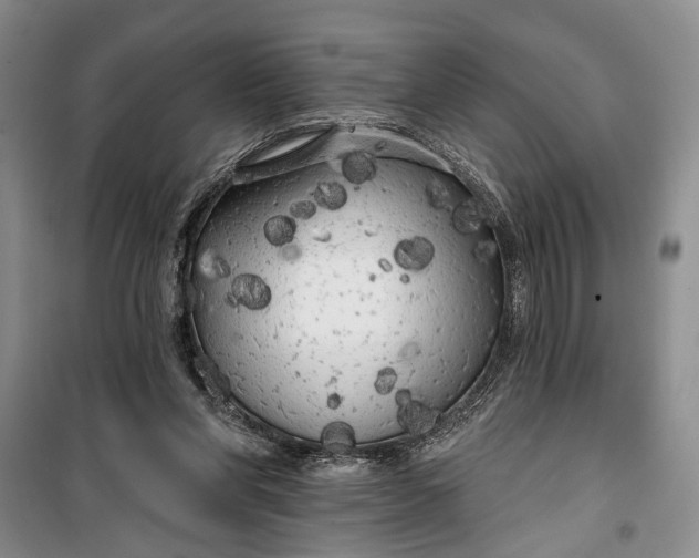 X0000100200206200806131237