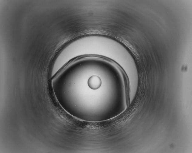 X0000100200207200806131237