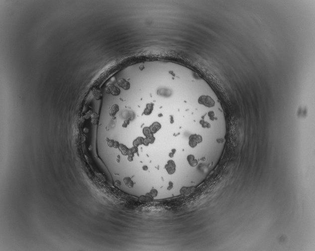 X0000100200208200806131237