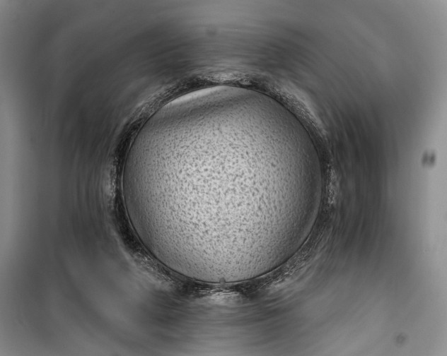 X0000100200210200806131237