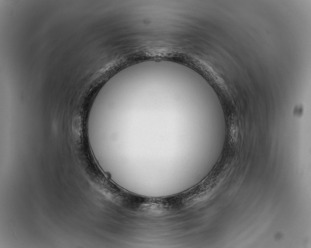 X0000100200211200806131237