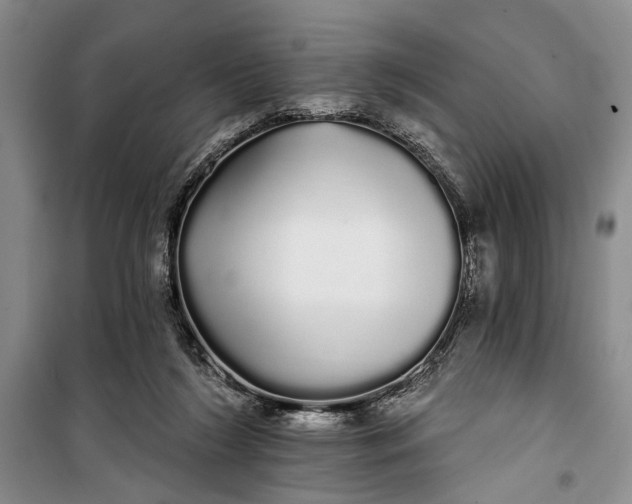 X0000100200212200806131237