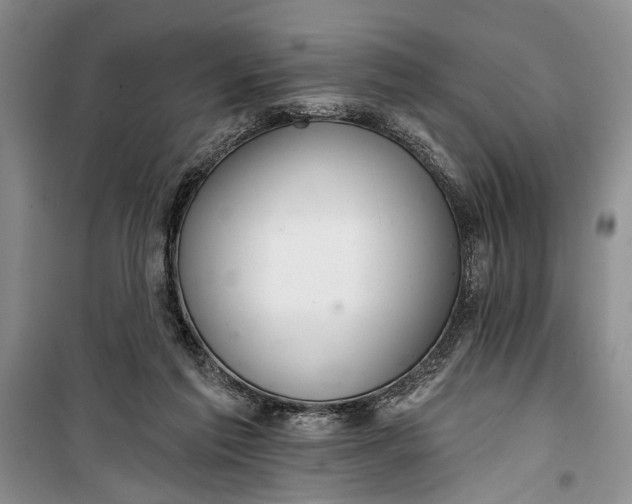 X0000100200213200806131237