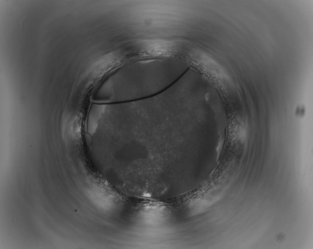 X0000100200214200806131237