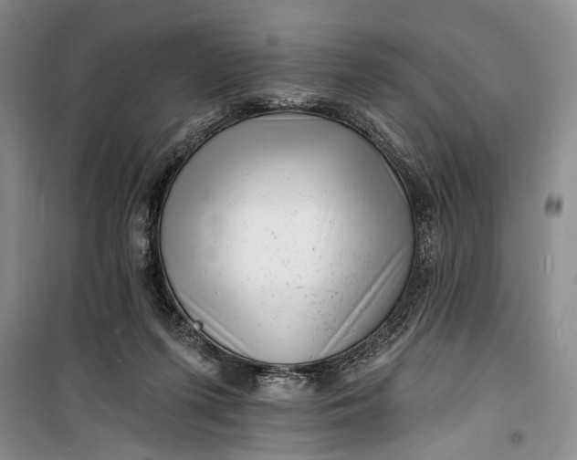 X0000100200215200806131237