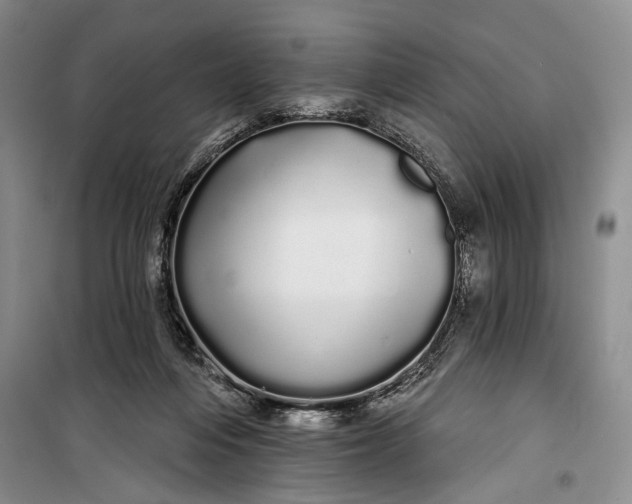 X0000100200216200806131237