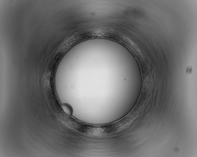 X0000100200217200806131237