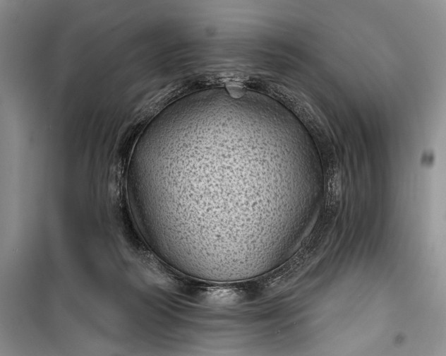 X0000100200218200806131237