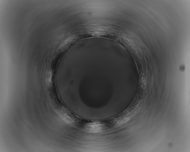 X0000100200219200806131237