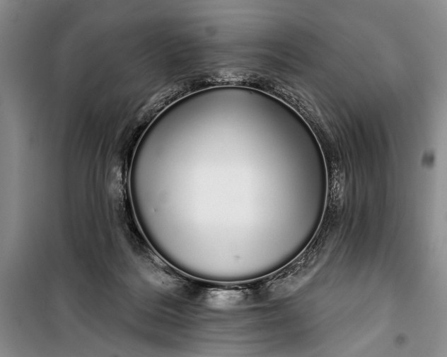 X0000100200220200806131237