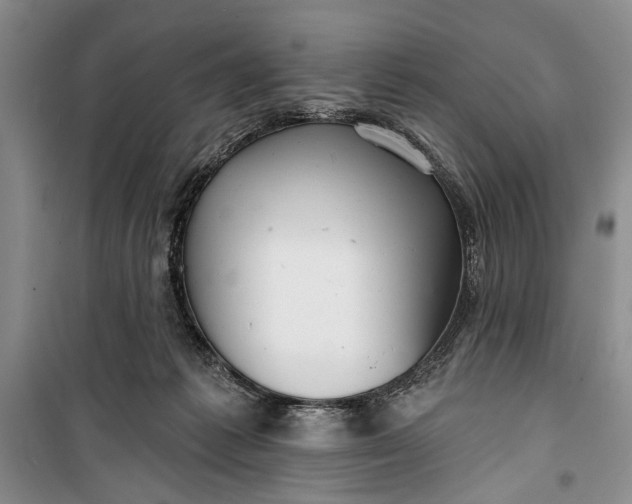 X0000100200221200806131237