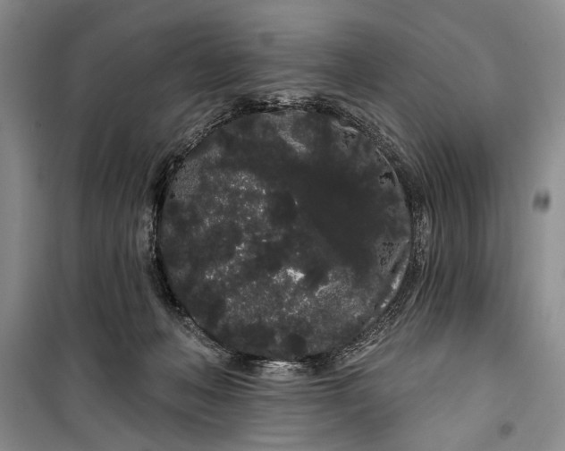 X0000100200222200806131237