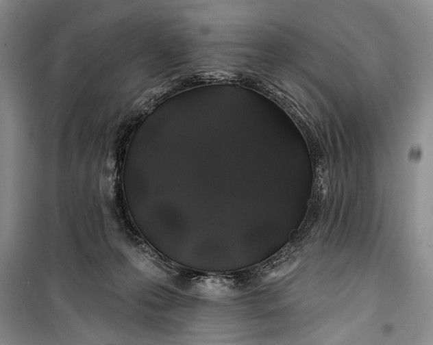 X0000100200223200806131237