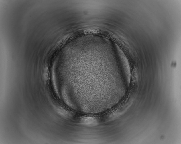 X0000100200224200806131237