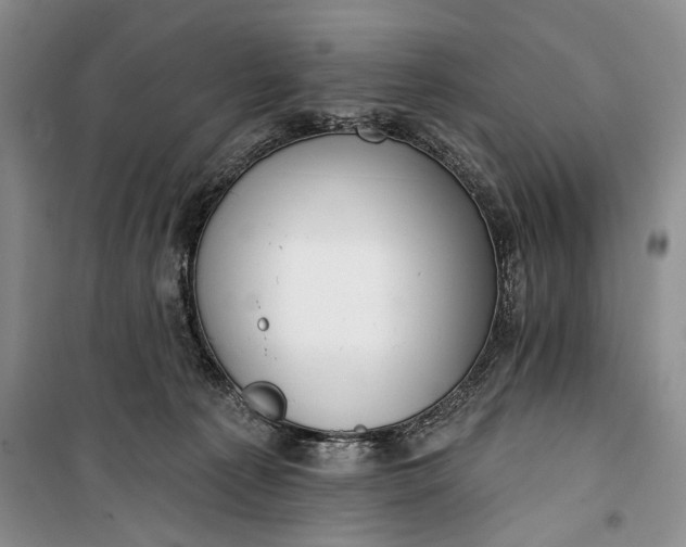 X0000100200225200806131237