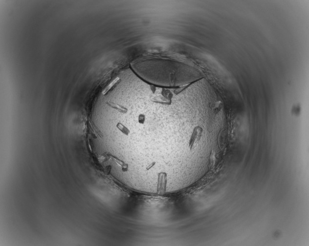 X0000100200226200806131237