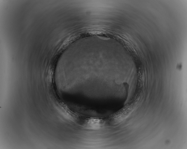 X0000100200227200806131237