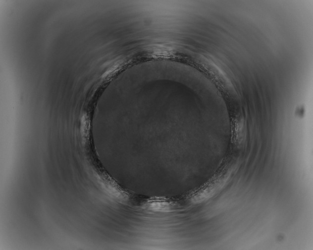 X0000100200228200806131237