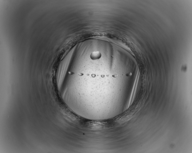 X0000100200229200806131237